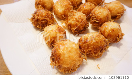 魷魚餃子天婦羅 魷魚餃子天婦羅 102961510