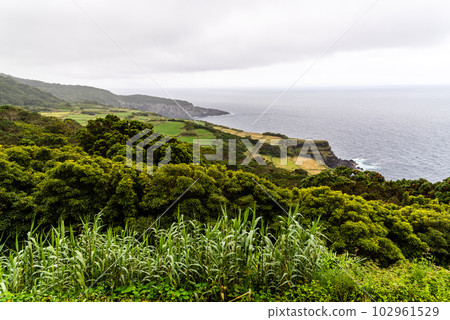 Traditional rural landscape in Terceira Island, Azores, Portugal Traditional rural landscape in Terceira Island, Azores, Portugal 102961529