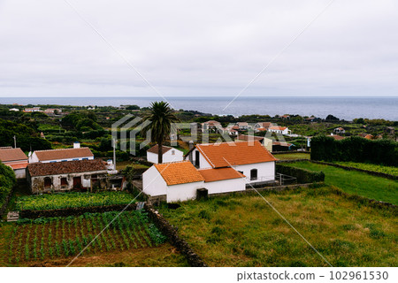 Traditional rural landscape in Terceira Island, Azores, Portugal Traditional rural landscape in Terceira Island, Azores, Portugal 102961530