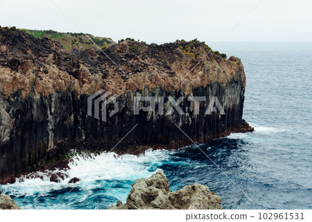 Cliffs in the north coast of Terceira Island 102961531