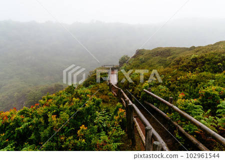 Pathway through Furnas do Enxofre a foggy day of summer 102961544