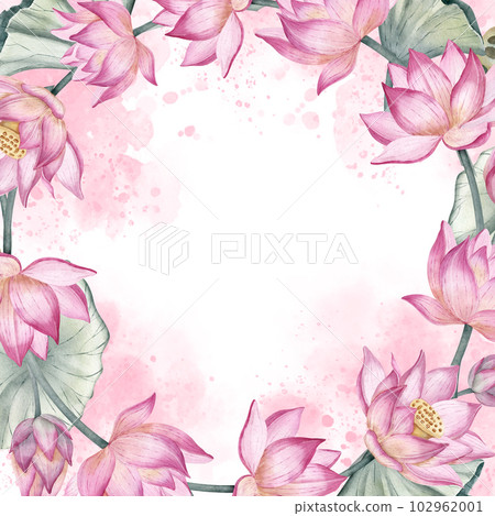 Lotus Flowers Wreath. Hand drawn watercolor illustration of circular Frame on isolated background. Round border with pink water Lily for wedding invitations or greeting cards. Waterlily backdrop. 102962001