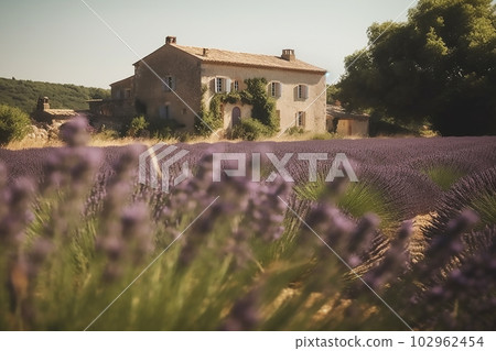 Beautiful view of old house in Provence on a bright sunny day with a lavender field in the foreground.Generative AI 102962454