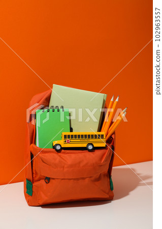 Concept of school education with school accessories, space for text Concept of school education with school accessories, space for text 102963557
