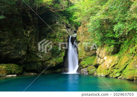 [Kochi Prefecture] Nikobuchi (Niyodo Blue) 102963703