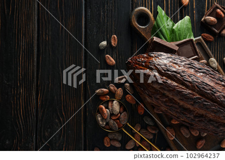 Concept of fresh and aromatic food - cacao beans 102964237