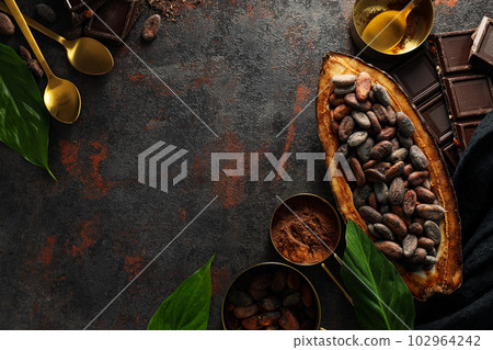 Concept of fresh and aromatic food - cacao beans 102964242