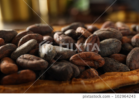 Concept of fresh and aromatic food - cacao beans Concept of fresh and aromatic food - cacao beans 102964243