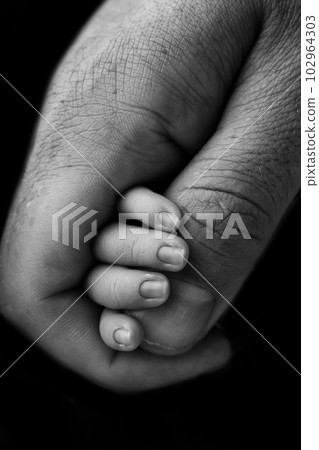 Close-up of a small hand of a child and the hand of mother and father. A newborn baby after birth holds tightly, squeezes the thumb of its parents. Black and white photography on a black background. 102964303