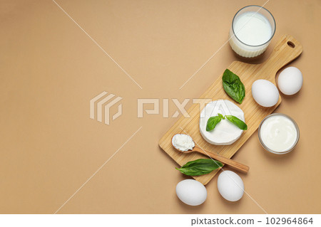 Concept of tasty food - different dairy products 102964864