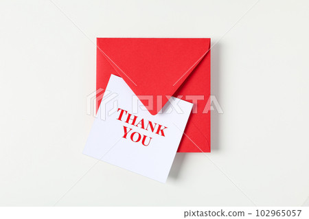 Words of gratitude, gratitude concept, text Thank you 102965057