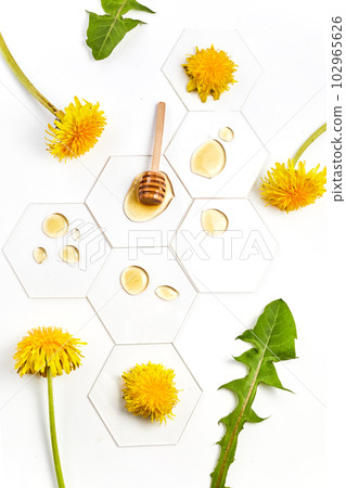 Dandelion yellow honey drop and stick with dandelion flowers on white background. 102965626