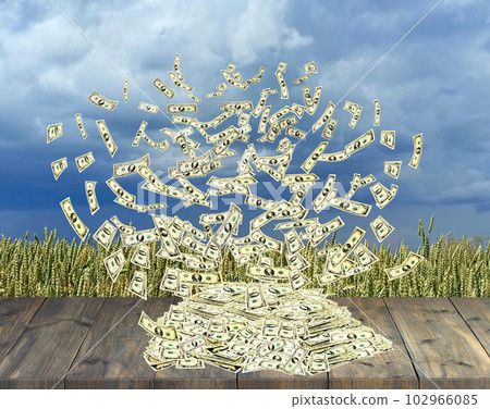 Dollars scatter from pile against background of field of wheat. Agricultural Dollars scatter from pile against background of field of wheat. Agricultural 102966085