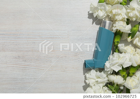 World Asthma Day, concept of allergy care - Asthma 102966725