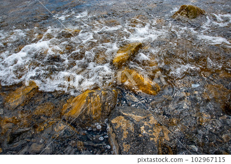Close up water with algae on the beach concept photo. Close up water with algae on the beach concept photo. 102967115