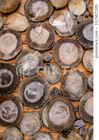 Wooden natural cut logs different sizes stored for fuel in countryside. Textured background. 102967280