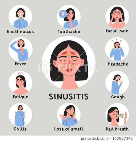 Young woman with sinusitis symptoms and early signs. Female with fever, chills, facial pain. Infografic with patient character. Problem with health. Flat vector medical illustration 102967342