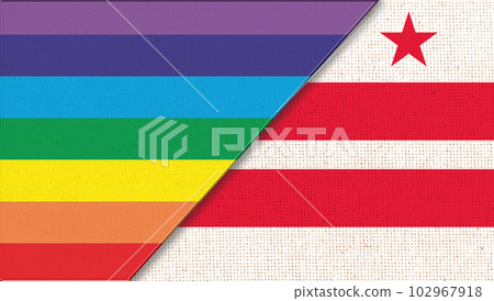 Flags of Washington, D.C. and lgbt. sexual concept. flag of sexual minorities 102967918