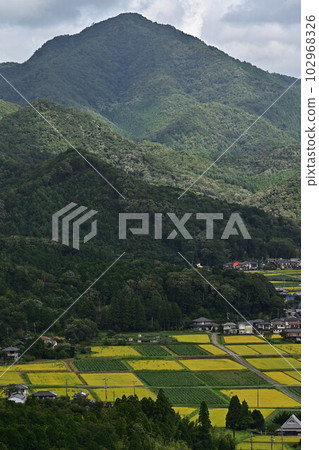 Scenery of Tamba Sasayama 102968326