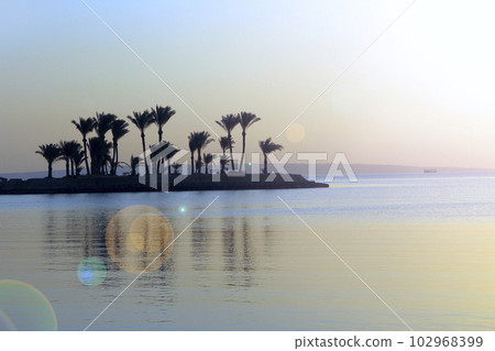 Tropical island with silhouettes of palm trees in ocean in dawn. Summer vacations 102968399
