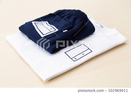 Gym clothes, photography, wood grain background 102969911