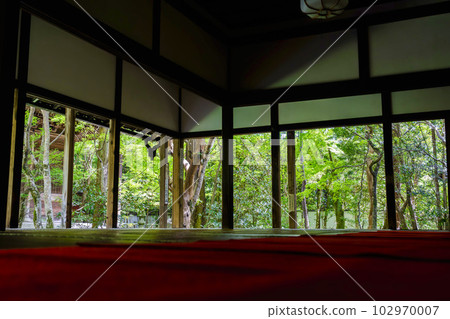 京都府京都市初夏蓮華寺綠楓園 102970007