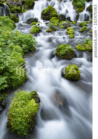 Water of life 102970363