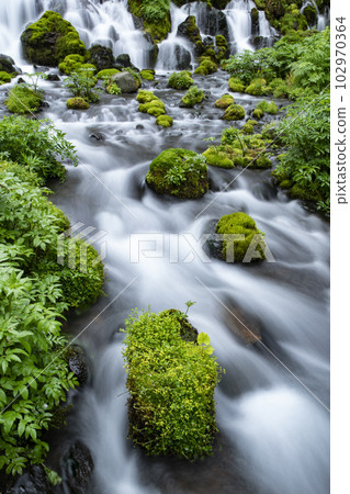 Water of life 102970364