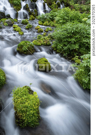 生命之水 102970365