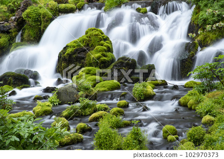 Water of life 102970373