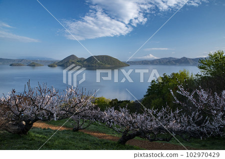 偉大的觀點的洞爺湖 102970429