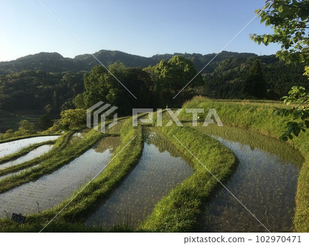 Oyama Senmaida in the late spring morning, terraced rice fields on the slope and mountain shadows on the water surface Oyama Senmaida in the late spring morning, terraced rice fields on the slope and mountain shadows on the water surface 102970471