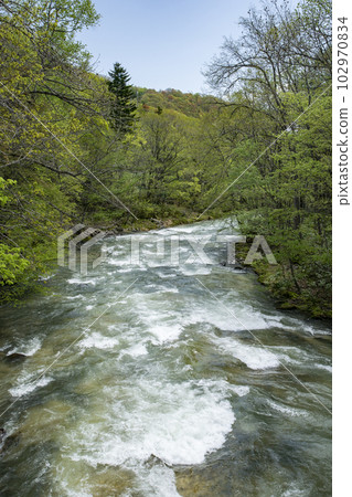美麗的新綠流動 102970834
