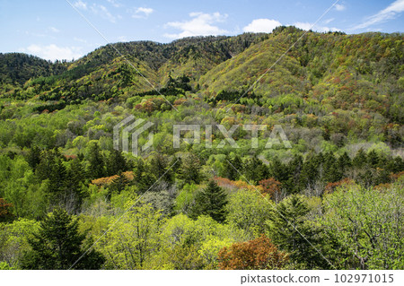 一座充滿活力的春秋葉山 102971015