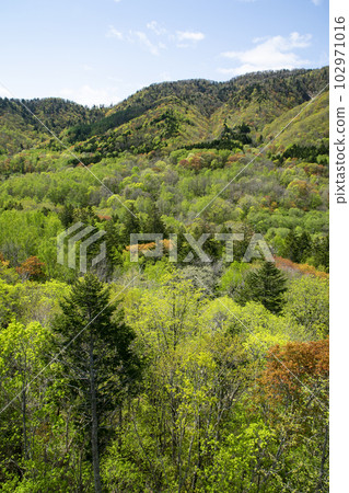 一座充滿活力的春秋葉山 102971016