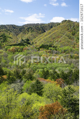 一座充滿活力的春秋葉山 102971017