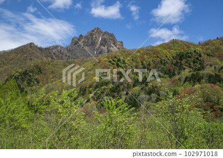 一座充滿活力的春秋葉山 102971018