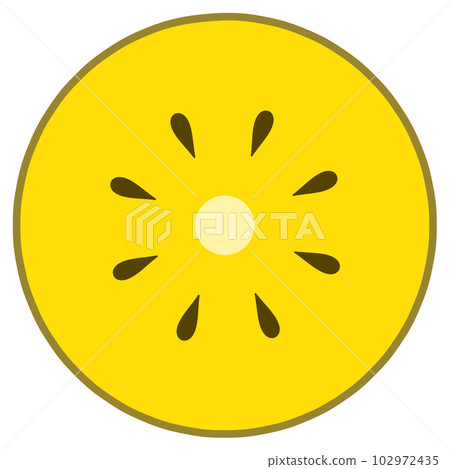 獼猴桃的橫截面 102972435