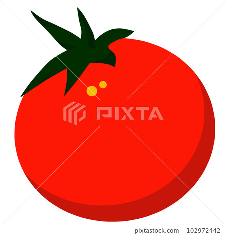Tomato Tomato 102972442