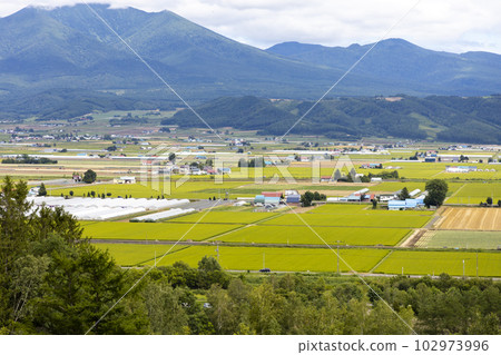 北海道空知郡中富良野町的風景 北海道空知郡中富良野町的風景 102973996