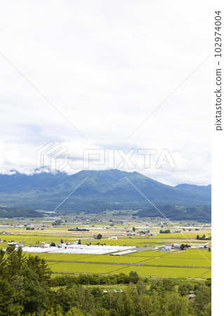 北海道空知郡中富良野町的風景 102974004