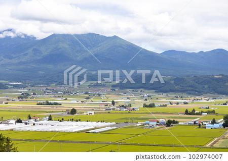 北海道空知郡中富良野町的風景 102974007