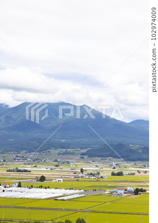 北海道空知郡中富良野町的風景 102974009