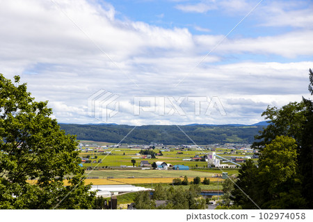 北海道空知郡中富良野町的風景 102974058