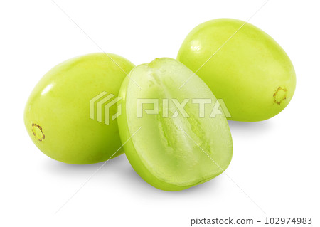 切片閃耀馬斯喀特 102974983