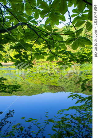 Omine-numa Mizukagami Fresh green scenery Minakami Town Omine-numa Mizukagami Fresh green scenery Minakami Town 102974984