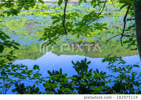 Omine-numa Mizukagami Fresh green scenery Minakami Town Omine-numa Mizukagami Fresh green scenery Minakami Town 102975114