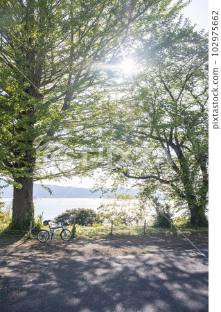 Fresh green cycling image (around Togo Pond) Fresh green cycling image (around Togo Pond) 102975662