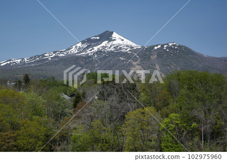 Annupuri in spring 102975960
