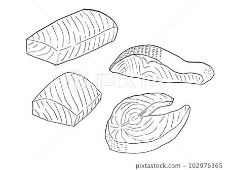 Salmon fillet sketch line drawing 102976365